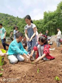 欣美鄉村學校專案——建設”小而美”的鄉村學校